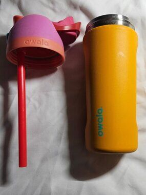 Owala FreeSip 16oz Stainless Steel Water Bottle Tropical